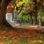 Graves At Ross Bay Cemetery, Surrounded By Trees And Coloured Fall Leaves