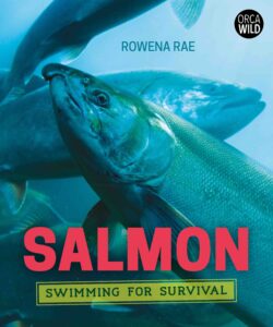 Book cover showing a group of salmon swimming